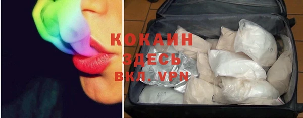 ГАЛЛЮЦИНОГЕННЫЕ ГРИБЫ Абаза