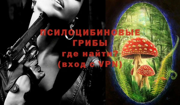 гидропоника Алзамай