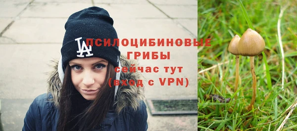 экстази Алексеевка