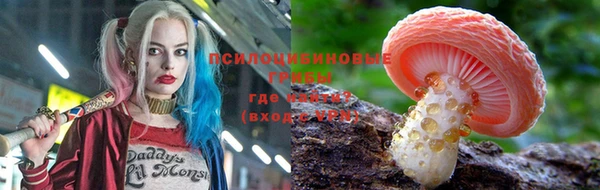 гидропоника Алзамай
