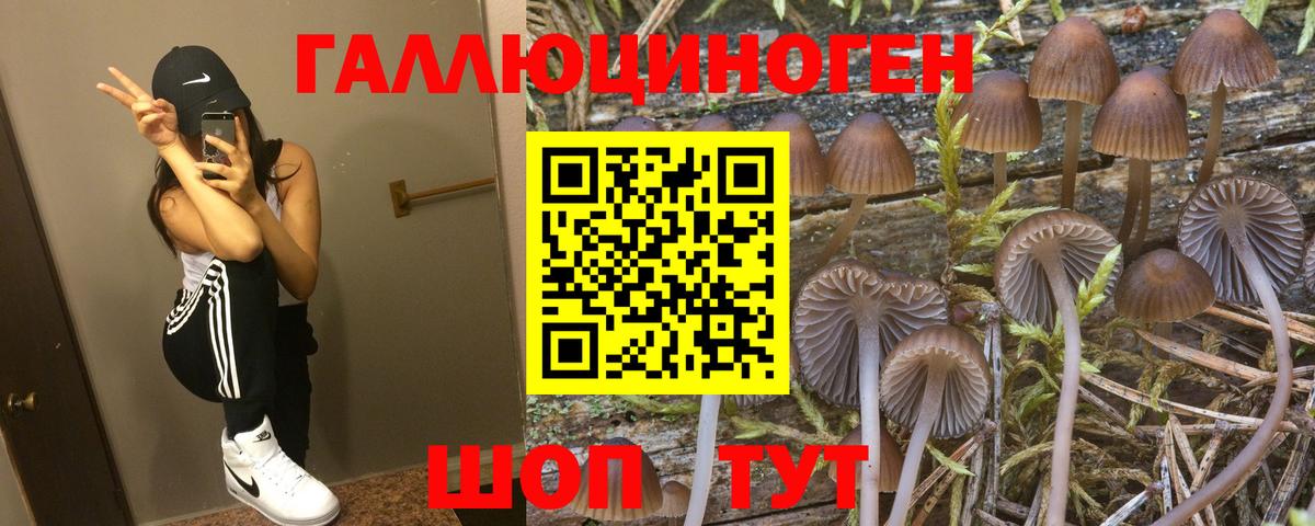 Псилоцибиновые грибы MAGIC MUSHROOMS Сатка